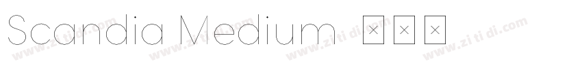 Scandia Medium字体转换
